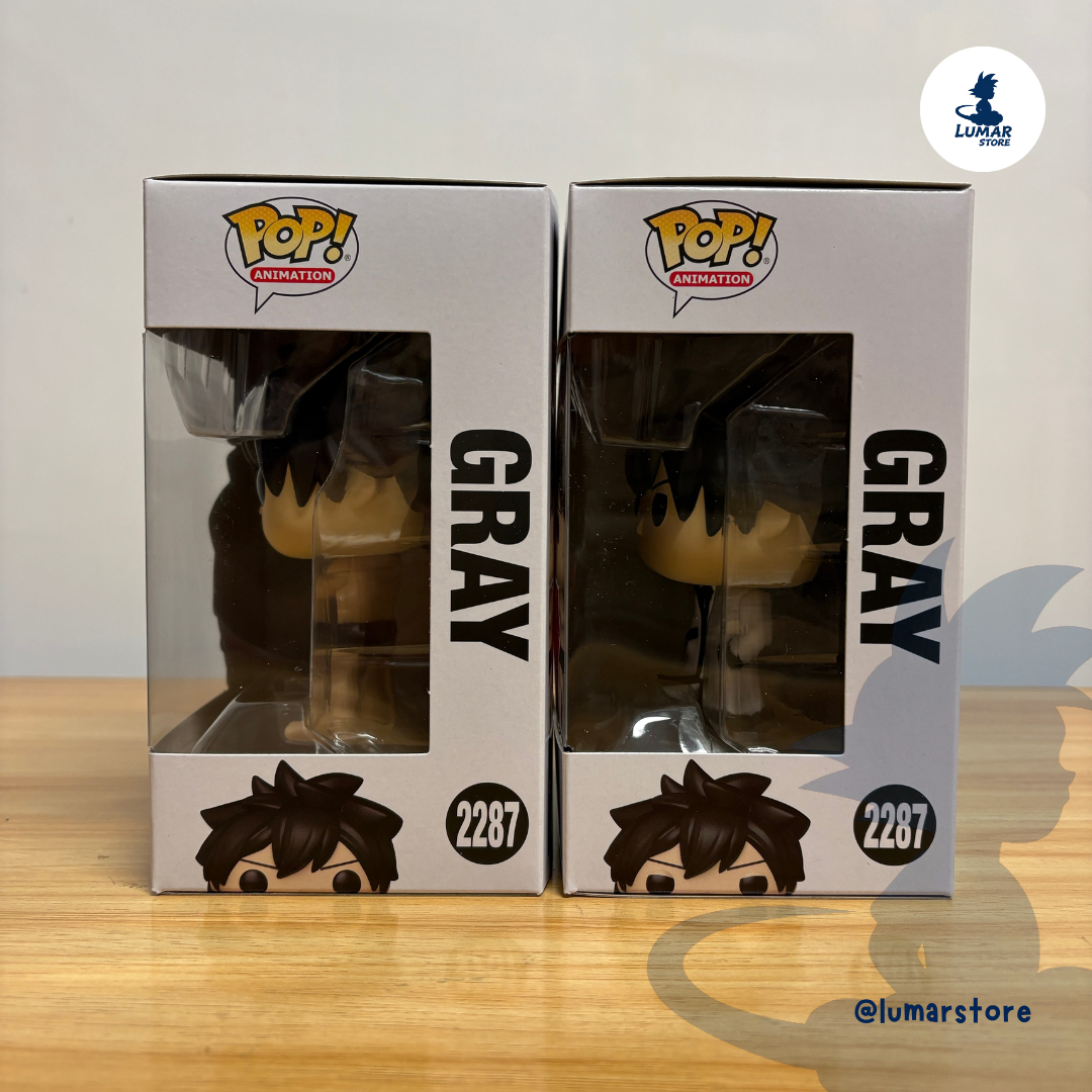 Bundle Funko POP! Animation 2287 - Gray Fullbuster (Regular + Chase) | Fairy Tail 100 Years Quest 